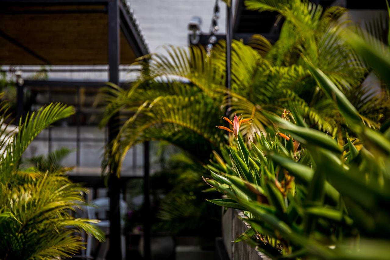 Alko Hotel Boutique Cali Exterior foto